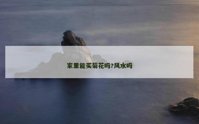 家里能买菊花吗?风水吗