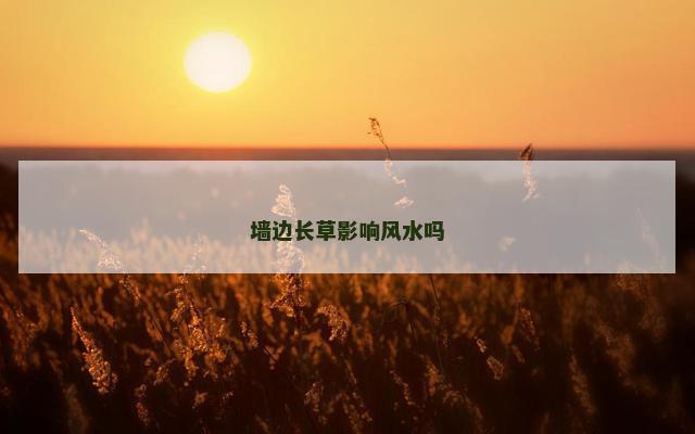 墙边长草影响风水吗