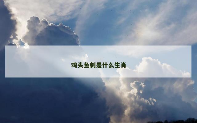 鸡头鱼刺是什么生肖