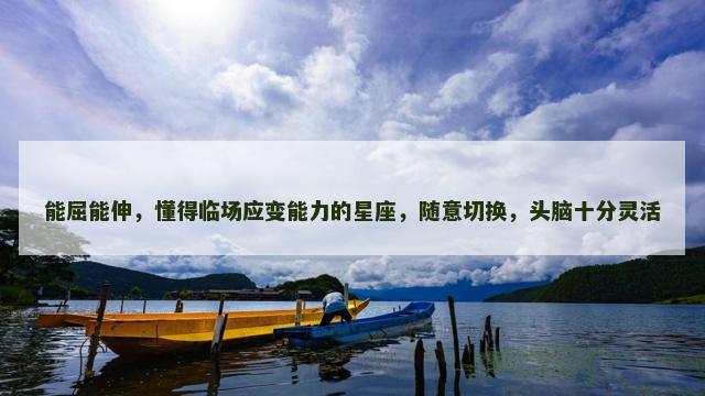 能屈能伸，懂得临场应变能力的星座，随意切换，头脑十分灵活