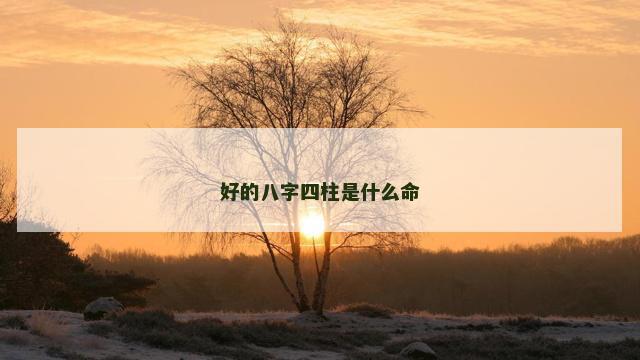 好的八字四柱是什么命