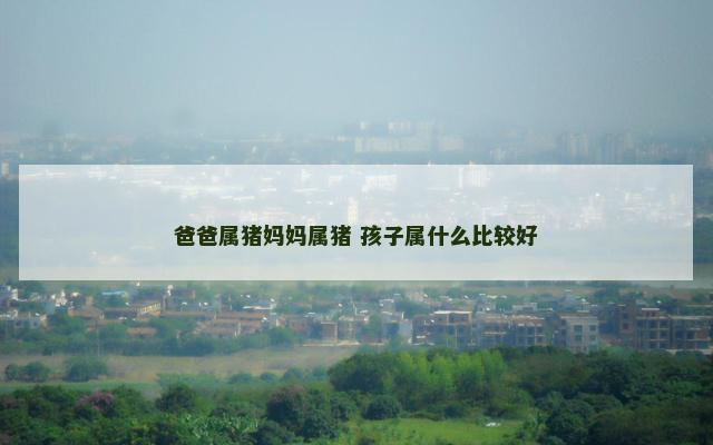 爸爸属猪妈妈属猪 孩子属什么比较好
