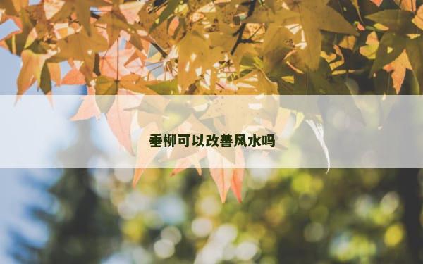 垂柳可以改善风水吗