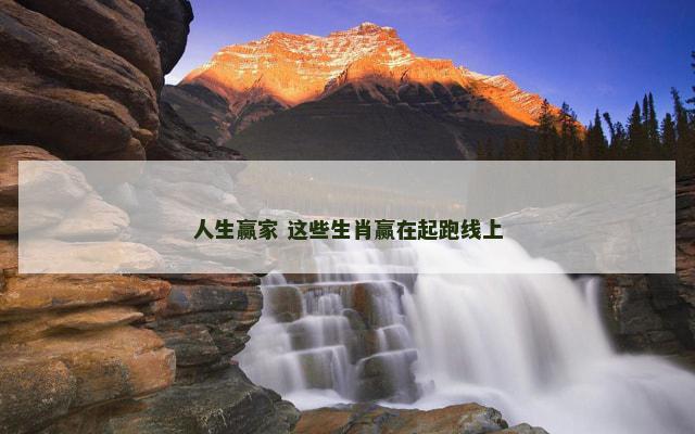 人生赢家 这些生肖赢在起跑线上