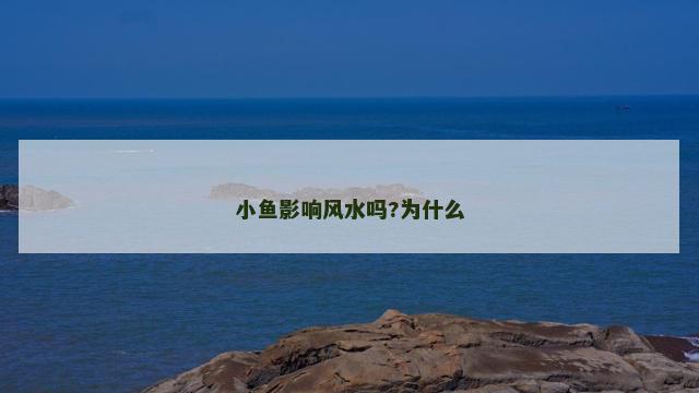 小鱼影响风水吗?为什么