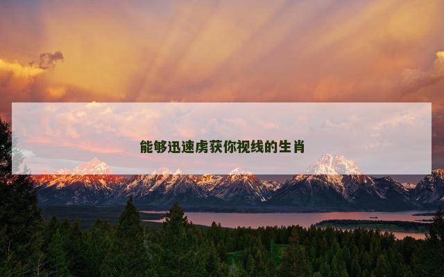 能够迅速虏获你视线的生肖