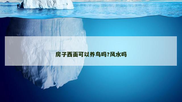 房子西面可以养鸟吗?风水吗