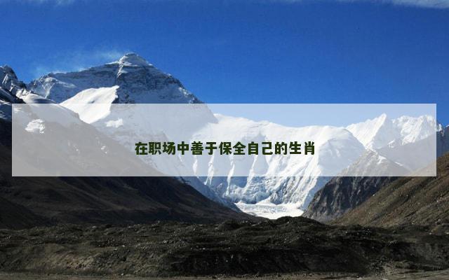 在职场中善于保全自己的生肖