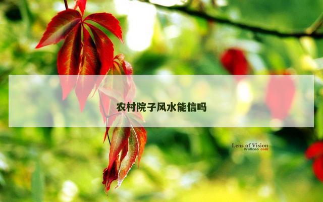 农村院子风水能信吗