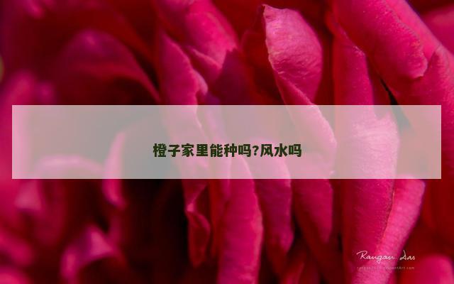 橙子家里能种吗?风水吗