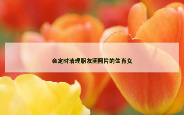 会定时清理朋友圈照片的生肖女