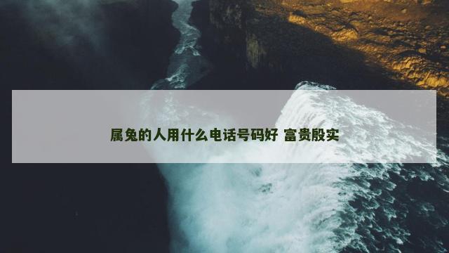 属兔的人用什么电话号码好 富贵殷实