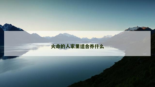 火命的人家里适合养什么