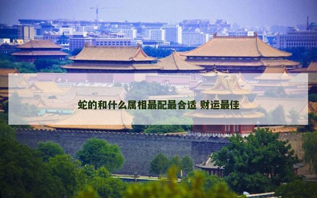 蛇的和什么属相最配最合适 财运最佳