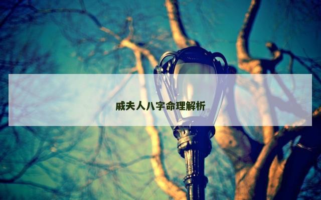 戚夫人八字命理解析