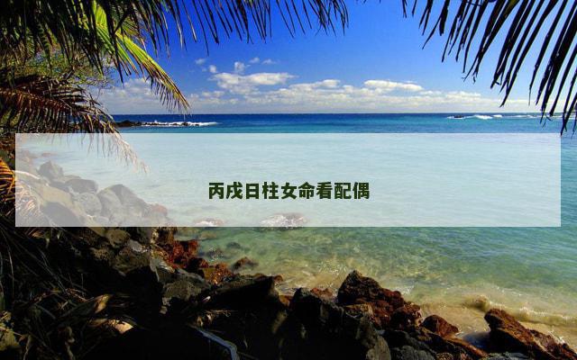 丙戌日柱女命看配偶