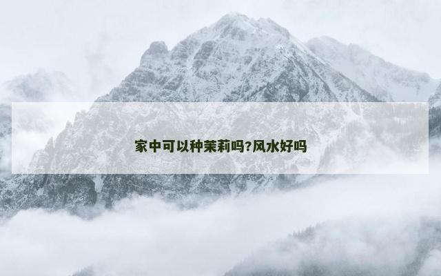 家中可以种茉莉吗?风水好吗