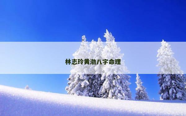 林志玲黄渤八字命理