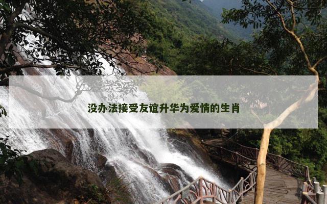 没办法接受友谊升华为爱情的生肖