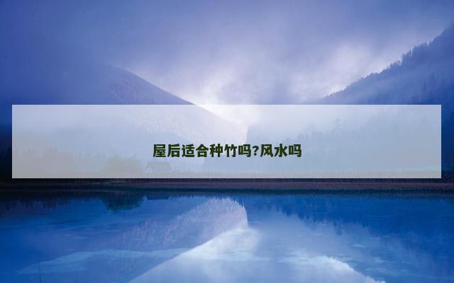 屋后适合种竹吗?风水吗