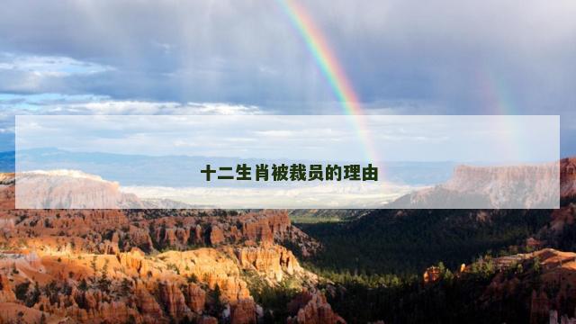 十二生肖被裁员的理由