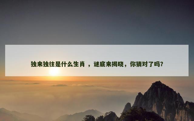 独来独往是什么生肖 ，谜底来揭晓，你猜对了吗？