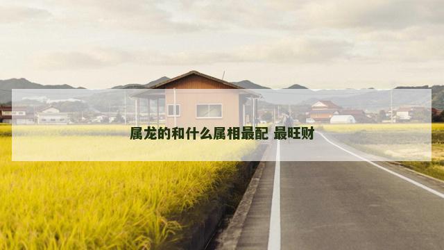 属龙的和什么属相最配 最旺财