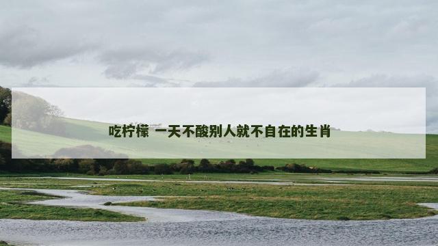吃柠檬 一天不酸别人就不自在的生肖