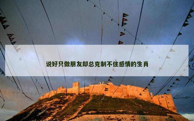 说好只做朋友却总克制不住感情的生肖