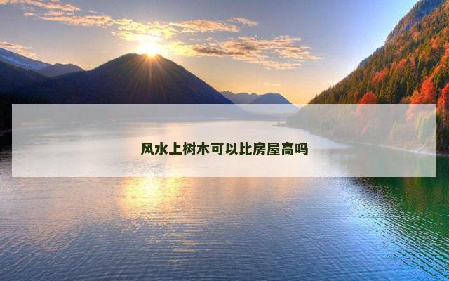 风水上树木可以比房屋高吗