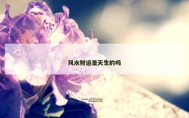 风水财运是天生的吗