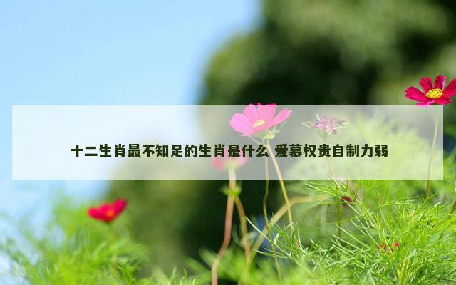 十二生肖最不知足的生肖是什么 爱慕权贵自制力弱