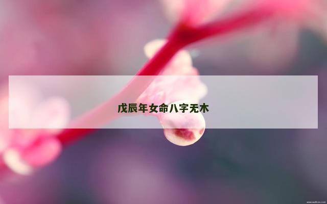 戊辰年女命八字无木