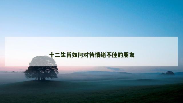 十二生肖如何对待情绪不佳的朋友