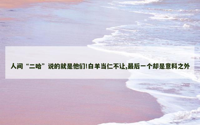 人间“二哈”说的就是他们!白羊当仁不让,最后一个却是意料之外