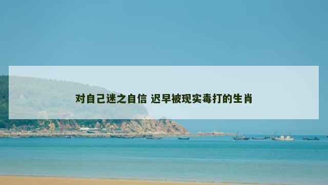 对自己迷之自信 迟早被现实毒打的生肖