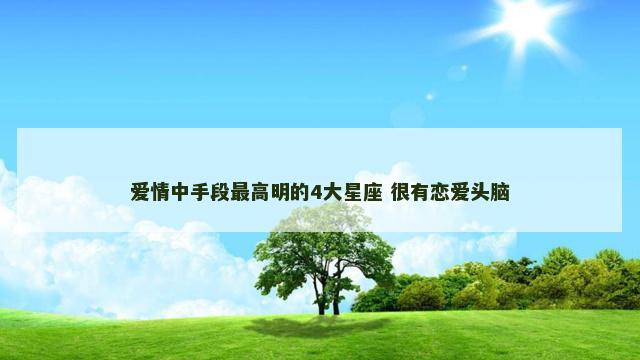 爱情中手段最高明的4大星座 很有恋爱头脑