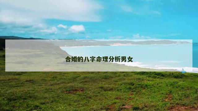 合婚的八字命理分析男女