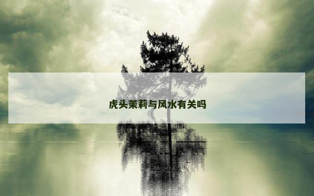 虎头茉莉与风水有关吗