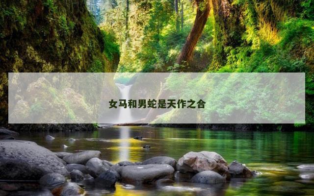 女马和男蛇是天作之合