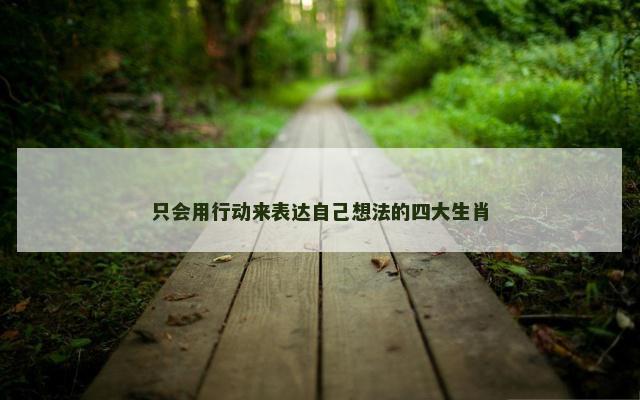 只会用行动来表达自己想法的四大生肖