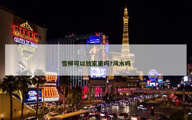 雪柳可以放家里吗?风水吗