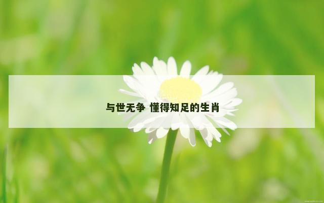 与世无争 懂得知足的生肖