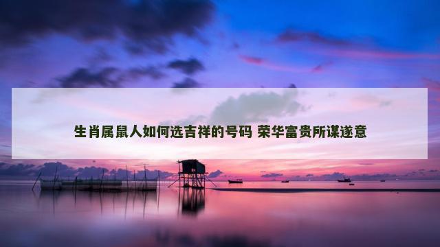 生肖属鼠人如何选吉祥的号码 荣华富贵所谋遂意