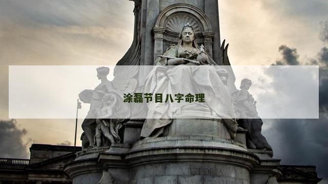 涂磊节目八字命理