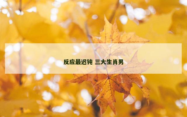 反应最迟钝 三大生肖男