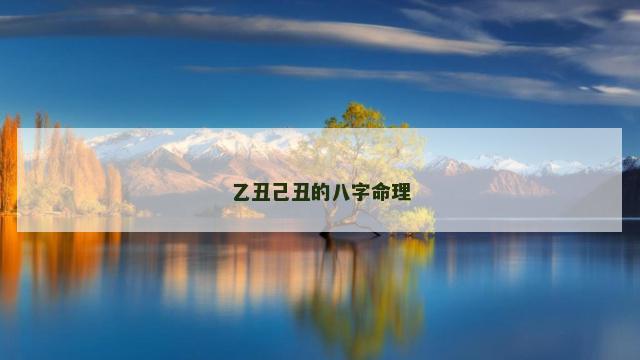 乙丑己丑的八字命理