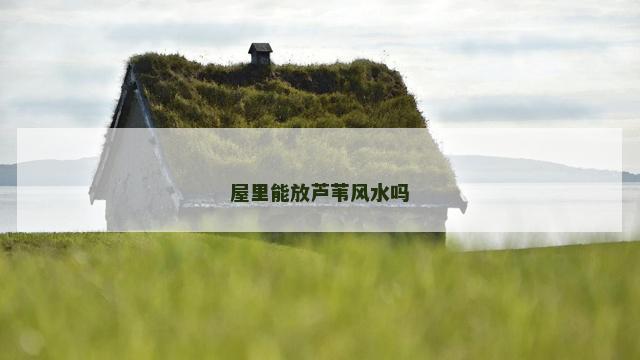 屋里能放芦苇风水吗