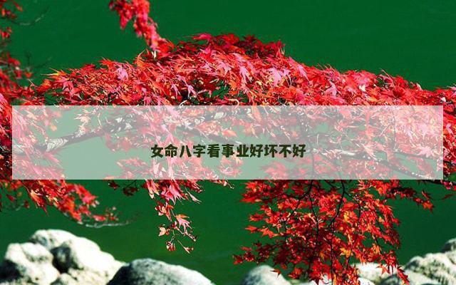 女命八字看事业好坏不好