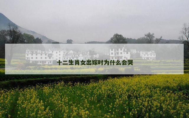 十二生肖女出嫁时为什么会哭